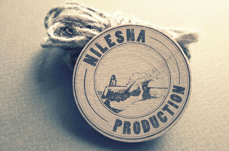 Logo Nilesna Production